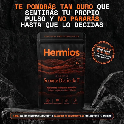 Soporte Diario De T