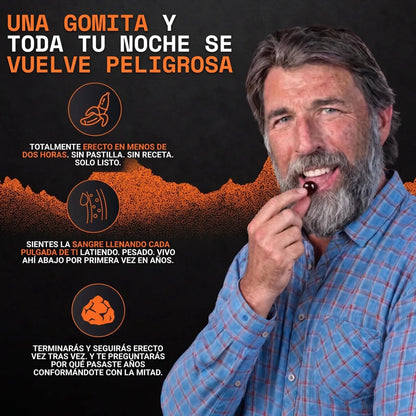 Soporte Diario De T