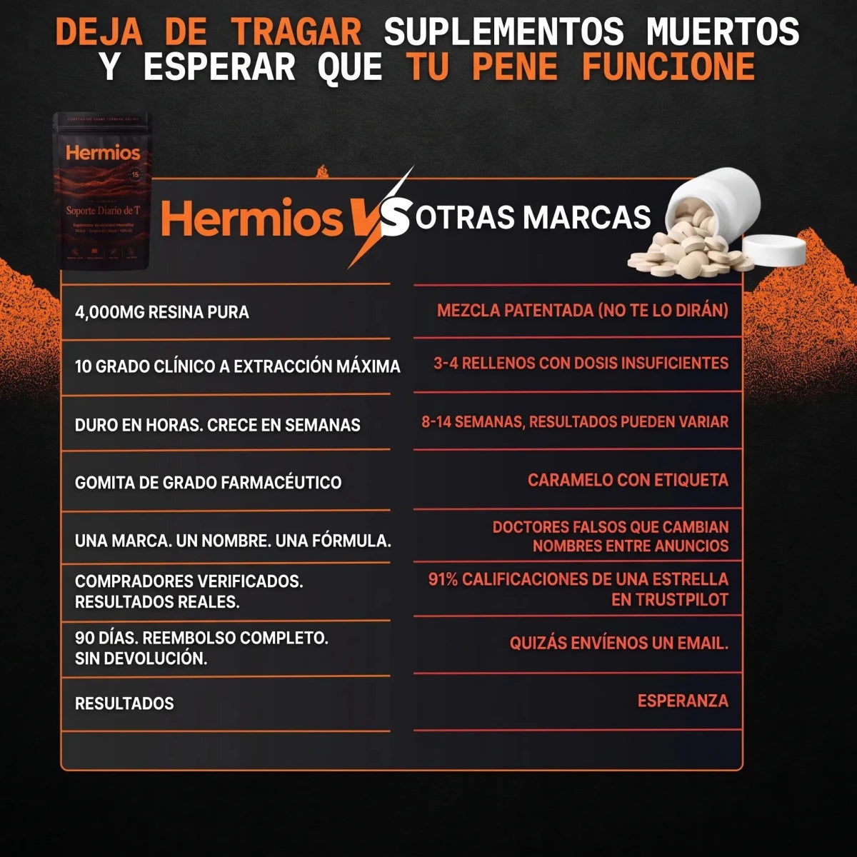 Soporte Diario De T