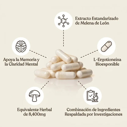 Melena de león + L-ergotioneína — Extracto de hierbas de 8400 mg