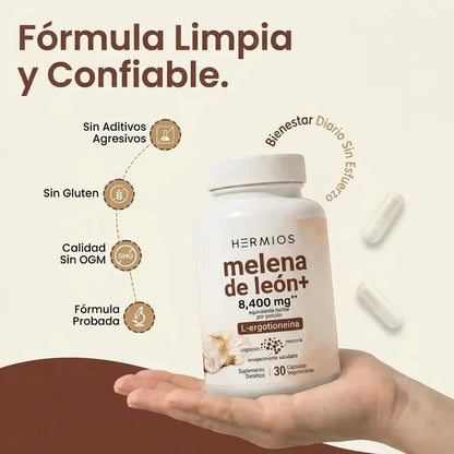 Melena de león + L-ergotioneína — Extracto de hierbas de 8400 mg