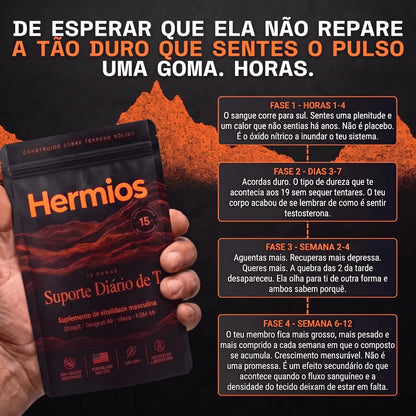 Suporte Diário de T Hermios