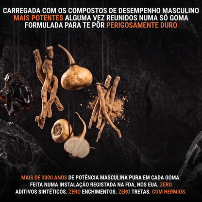 Suporte Diário de T Hermios